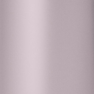 Diva Professional Styling Rebel Dynamica 4000 Pro Hair Dryer Lily Daze