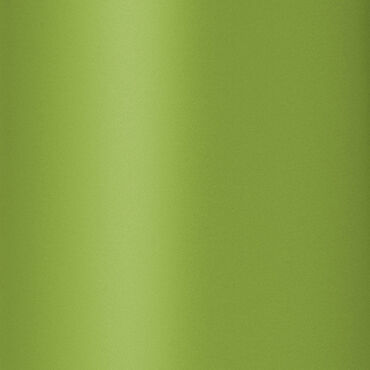 Diva Professional Styling Chromatix Dynamica 3400 Pro Hair Dryer - Lime Green