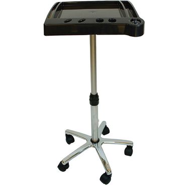 Salon Services Tint Trolley