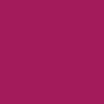 Andreia Professional Nutri Color NC 19 Magenta - Nail Polish, 10.5ml