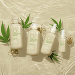 Paul Mitchell Tea Tree Hemp Restoring Shampoo and Body Wash 300ml