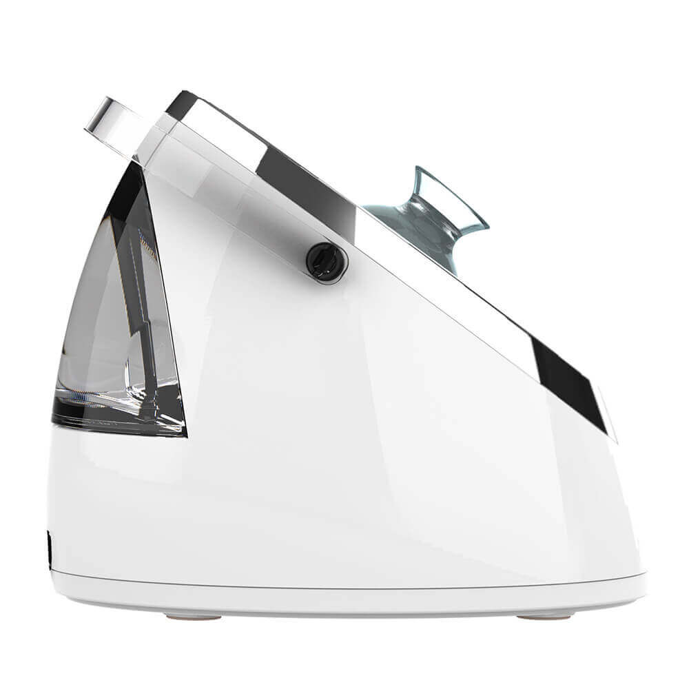Homedics top steam iron
