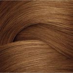 Redken Shades EQ Bonder Inside Demi-Permanent Hair Colour 05N Walnut 60ml