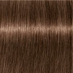 Indola Professional Xpress Color Permanent Hair Colour - 6.38 Dark Blonde Gold Chocolate 60ml