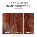 Wella Professionals Colormotion+ OTC Mask 150ml