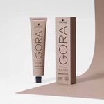 Schwarzkopf Professional Igora Royal Absolutes Permanent Hair Colour - 7-70 Medium Blonde Copper Natural 60ml
