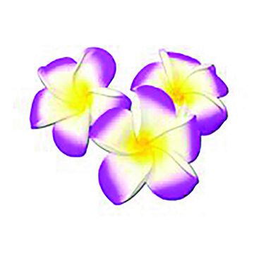 Beauty Express Floating Frangipani Lilac Pack of 10