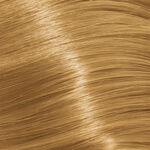 Goldwell Topchic Permanent Hair Colour - 11N Special Natural Blonde 60ml