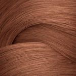 Redken Shades EQ Bonder Inside Demi-Permanent Hair Colour 06NB Brandy 60ml