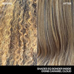 Redken Shades EQ Bonder Inside Demi Permanent Hair Colour 010NB Caramel Cloud 60ml