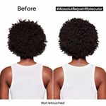 L'Oréal Professionnel Serie Expert Absolut Repair Molecular Shampoo 1500ml