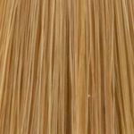 XP200 Natural Flair Permanent Hair Colour - 9.31 Very Light Gold Ash Blonde 100ml