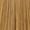 9.31 Very Light Gold Ash blonde