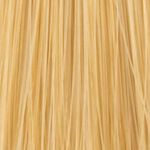 XP200 Natural Flair Permanent Hair Colour - 10.3 Lightest Gold Blonde 100ml