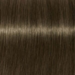 Schwarzkopf Professional Igora Royal Permanent Hair Colour - 6-31 Dark Blonde Matt Cendre 60ml