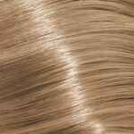 Schwarzkopf Professional Igora Royal Absolutes Permanent Hair Colour - 8-01 60ml