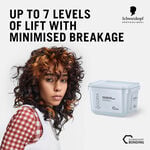 Schwarzkopf Professional Igora Vario Blond Plus Powder Lightener 450g