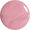 Tropical Pink