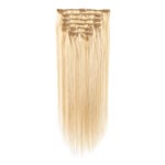 Wildest Dreams 100% Human Hair Clip-In Extensions, Half Head, 18 inch/52g - 22/14 Sunkissed Blonde Blend