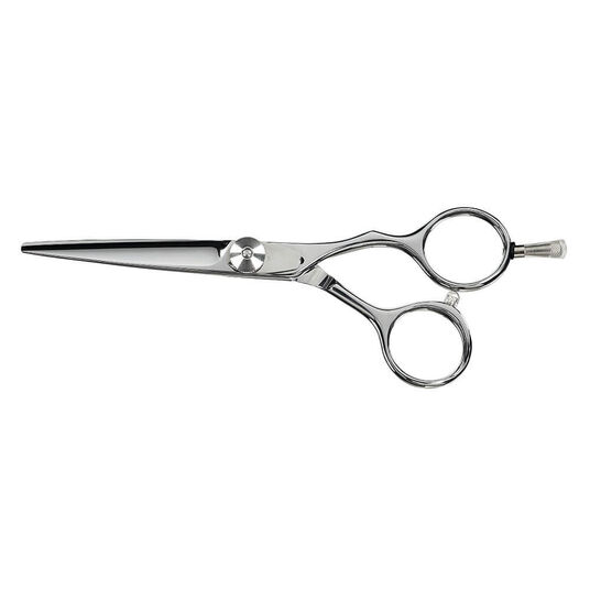 Saiza Scissors Tarantula 5.5 inch