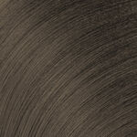 Redken Color Gels Lacquers Permanent Hair Colour 3NW Cocoa Bean 60ml