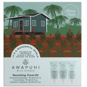 Paul Mitchell Awapuhi Wild Ginger Nourishing Travel Kit