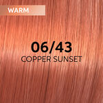 Wella Professionals Shinefinity Zero Lift Glaze - 06/43 Warm Copper Sunset 60ml
