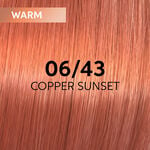 Wella Professionals Shinefinity Zero Lift Glaze - 06/43 Warm Copper Sunset 60ml