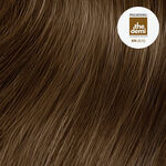 Paul Mitchell The Demi Demi Permanent Liquid Hair Colour - 6N 60ml