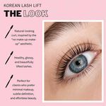Salon System Lash & Brow Lift Lotion Step 1 Sachets, Pack of 15