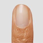 The Gel Bottle Inc. Bond Base 20ml