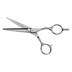 Saiza Scissors Tarantula 5.5"