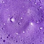 Unite Hair Blonda Toning Shampoo 236ml