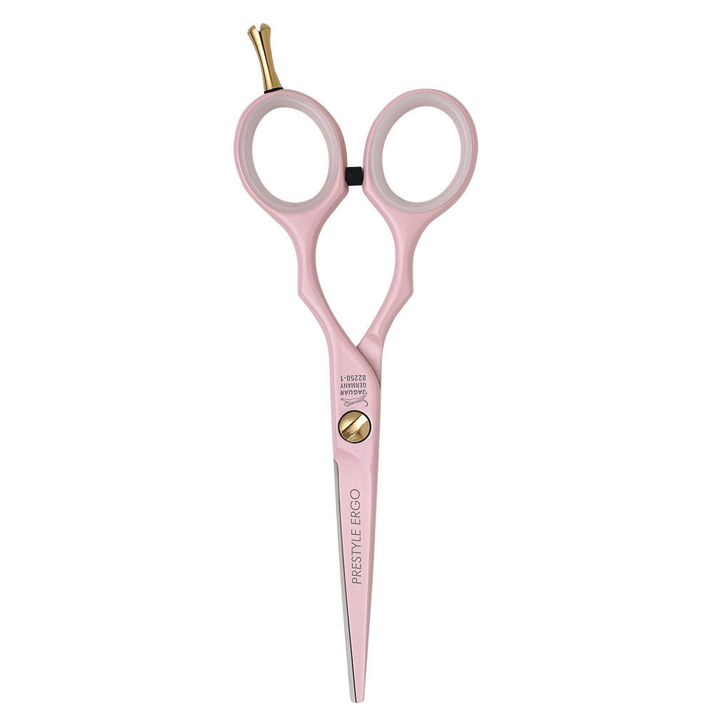 Professionelles Friseurscheren-Set In Pink – Haarschneideschere & Effilierschere, 5,5 Zoll, Mit Etui