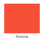 Brow Perfect Microblading Colour Corrector Pigment - Pomona 10ml