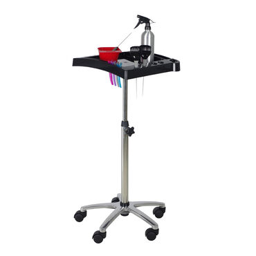Salon Services Idaho Tint Trolley