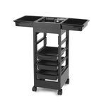 Original Best Buy Lightweight Workable E-Trolley