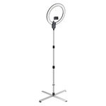 Daylight Company Aura Ring Lamp