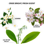 Color Wow Insta-Wow Advanced Dry Shampoo 200ml