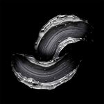 Sebastian Professional Dark Oil Silky Shine Shampoo 280ml