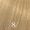 Light Blonde 8/