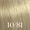 10/81 Lightest Blonde Pearl Ash