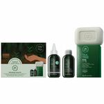 Paul Mitchell Tea Tree Refreshing Travel kit
