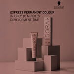 Schwarzkopf Professional Igora Color 10 Permanent Hair Colour - 9-00 Extra Light Blonde Natural Extra 60ml