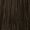 4.3 Gold Brown