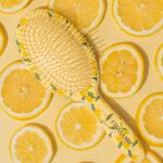 Framar Limoncello Detangle Brush - Amalfi