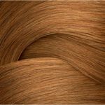 Redken Shades EQ Bonder Inside Demi-Permanent Hair Colour 06G St.Tropez 60ml