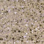 Andreia Professional Gel Polish 254 Gold and Silver Glitter, 10.5ml
