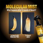 Osmo Chromaplex Molecular Mist 300ml