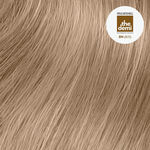 Paul Mitchell The Demi Demi Permanent Liquid Hair Colour - 8N 60ml